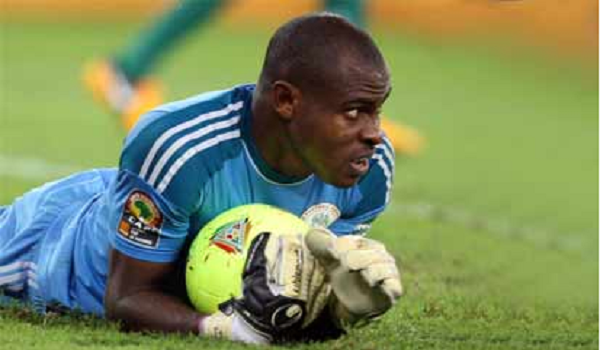 Image result for We don't have problems with Vincent Enyeama, says Green