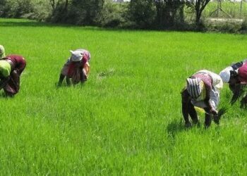 Farmers begin 10 days nationwide strike, demands better prices