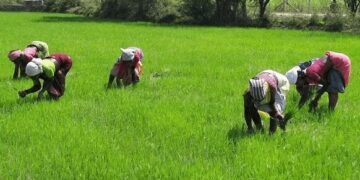 Farmers begin 10 days nationwide strike, demands better prices