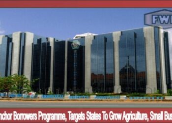 CBN’s Anchor Borrowers Programme