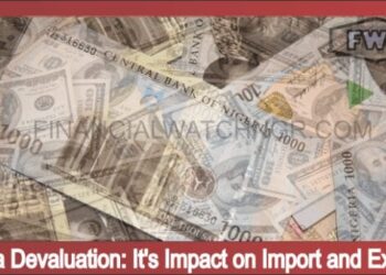 Naira Devaluation It’s Impact on Import and Export