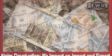 Naira Devaluation It’s Impact on Import and Export