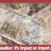 Naira Devaluation It’s Impact on Import and Export