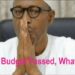 Now That 2016 Budget Has Been Passed