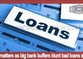 Size matters as big bank buffers blunt bad loans surge