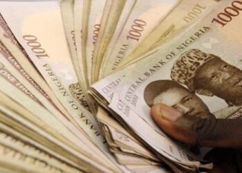 Microfinance operator appeals for more investors to give more loans