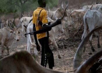 Enugu community feud with Fulani herdsmen