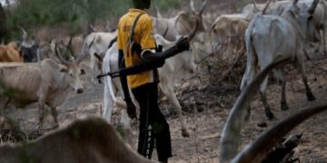 Enugu community feud with Fulani herdsmen