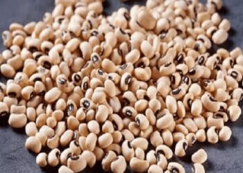 EU Beans ban’ll rob farmers of 10bn earnings