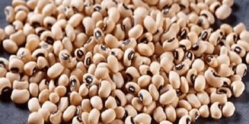 EU Beans ban’ll rob farmers of 10bn earnings