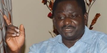 Femi Adesina