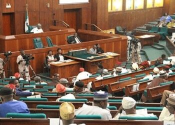 Reps reject electronic voting for 2019 Election