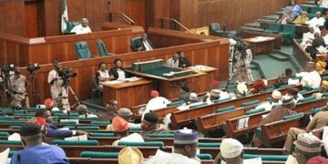 Reps reject electronic voting for 2019 Election