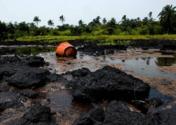 Ogoni Clean–up