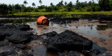 Ogoni Clean–up