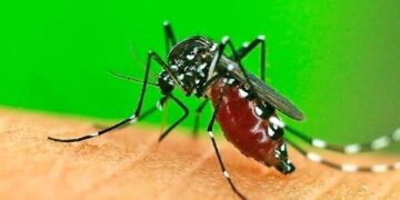 Signs and Symptoms of Cerebral Malaria