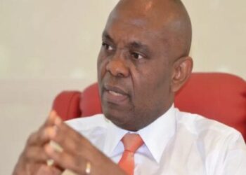 Tony Elumelu makes case for Young African entrepreneurs