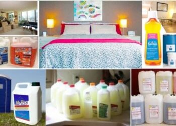 Laundry Detergent Production Business