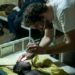 Meningitis outbreak in Nigeria kills 269 people