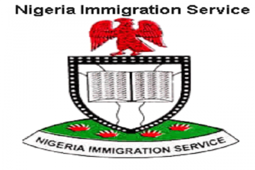Image result for nigeria immigration service images