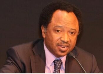 senator shehu sani