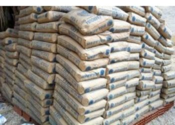 Current price of Dangote Cement Today