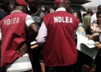 ndlea recruitment