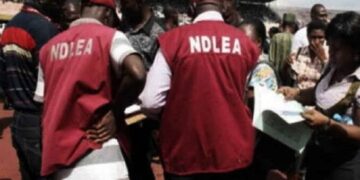 ndlea recruitment