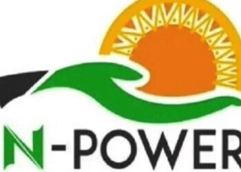 N-power Portal Login npvn.npower.gov.ng/login 2020/2021 – Update Your Account