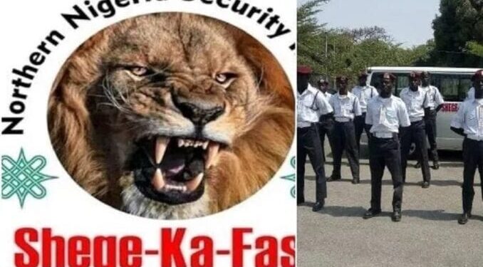 Operation Shege ka fasa