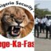 Operation Shege ka fasa