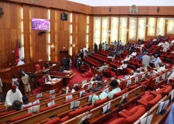 Senate Considers Reversal of Power Privatization policy