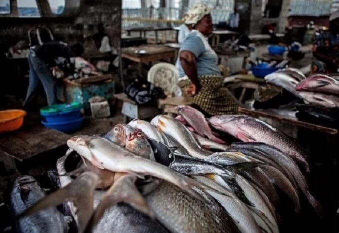 Epe Fish markets are back buying selling and trading animals 1