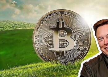 Bitcoin greener future excites Elon Musk