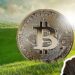 Bitcoin greener future excites Elon Musk