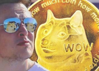 Elon Musk Reaffirms Support for Dogecoin Changes Profile Picture