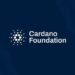 Rwandan NGO Partners Cardano to Launch ADA Crypto Charity Platform