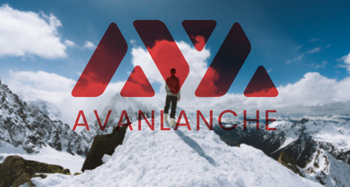 Avalanche Price Surges to Multi Month High 1