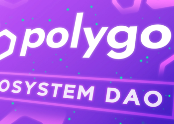 DAO Features for Polygon MATIC is almost ready