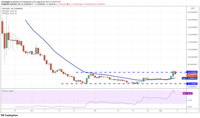 ICPUSDT daily chart