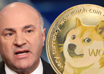 Shark Tanks Kevin OLeary Wont Invest in Dogecoin