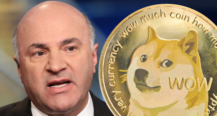 Shark Tanks Kevin OLeary Wont Invest in Dogecoin