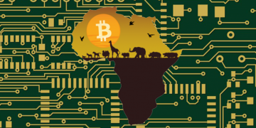 Africa Has Some of the Highest Grassroots Crypto Adoptions in the World