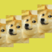 Original 4M Doge NFT meme auctioned off in 17 billion pieces