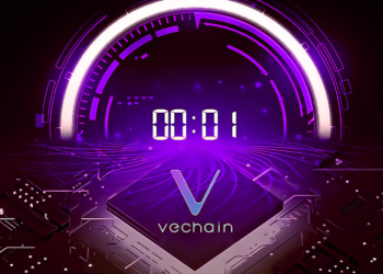 The Countdown to the Block 10000000 on Vechain Mainnet Starts