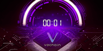 The Countdown to the Block 10000000 on Vechain Mainnet Starts