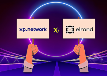 XP networks cross chain NFT Bridge now live on the Elrond public devnet