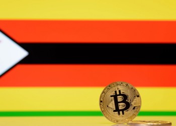 Zimbabwean Minister Says Crypto Based Solutions Could Lower Charges for Diaspora Remittances