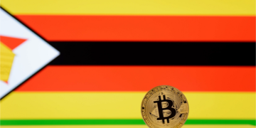 Zimbabwean Minister Says Crypto Based Solutions Could Lower Charges for Diaspora Remittances