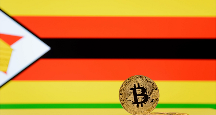 Zimbabwean Minister Says Crypto Based Solutions Could Lower Charges for Diaspora Remittances